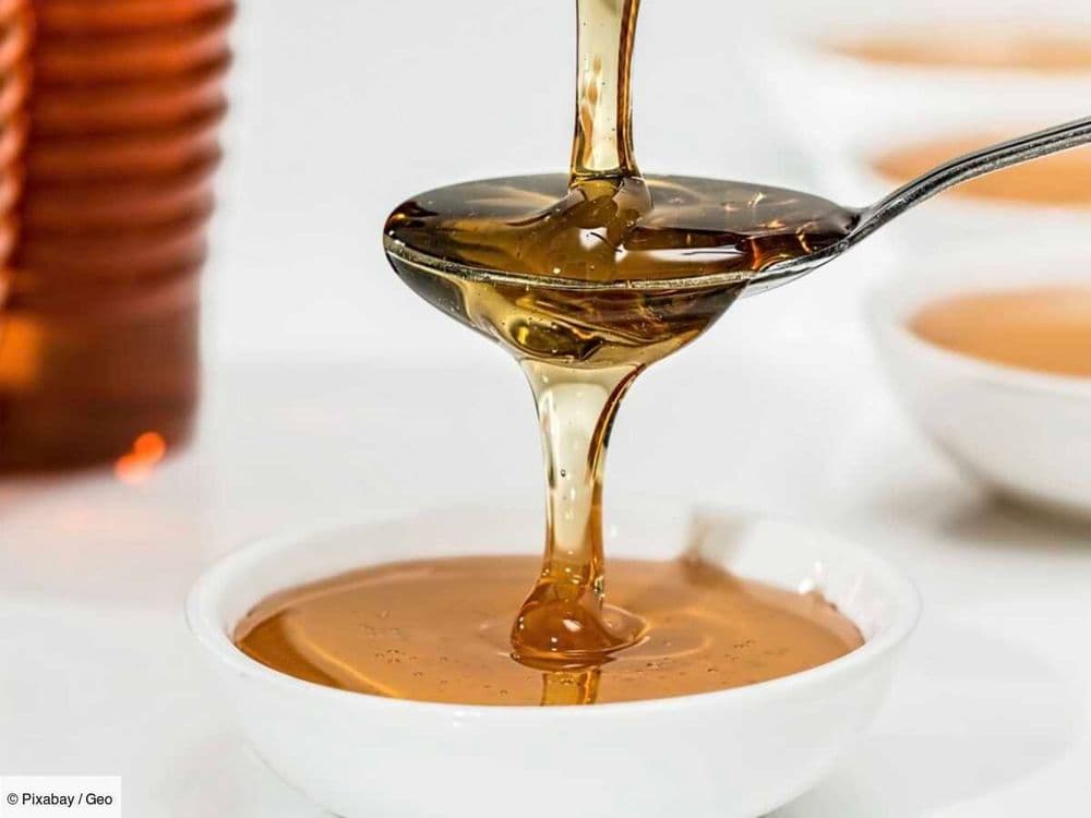 L'histoire du sirop d’érable, aux origines, la gourmandise d’un écureuil... ou d’un ours