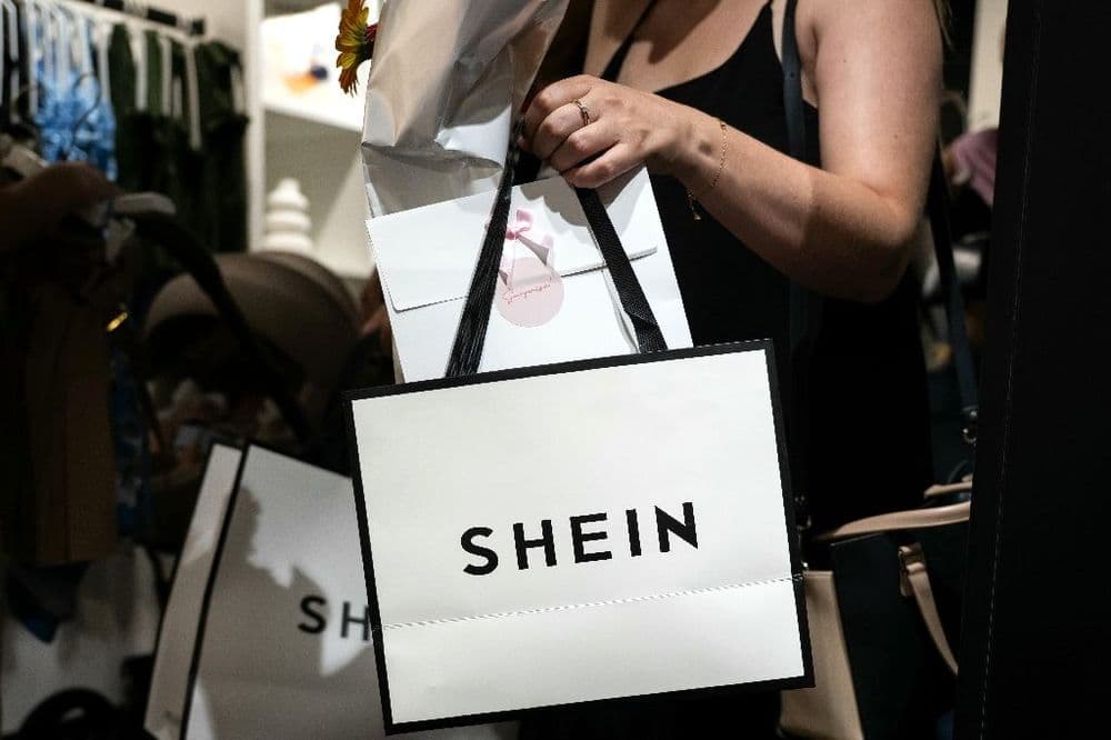 "Une question de budget": à Dijon, une boutique Shein attire la foule et les critiques