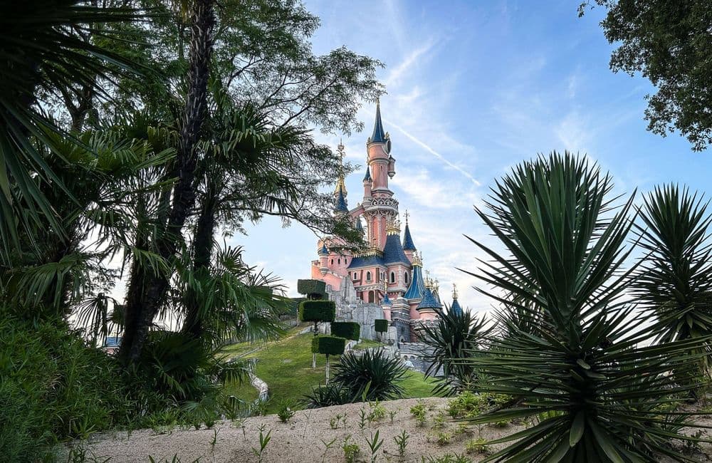 Quel est le profil de l’homme suspecté d’avoir organisé un faux mariage avec une enfant à Disneyland Paris ?