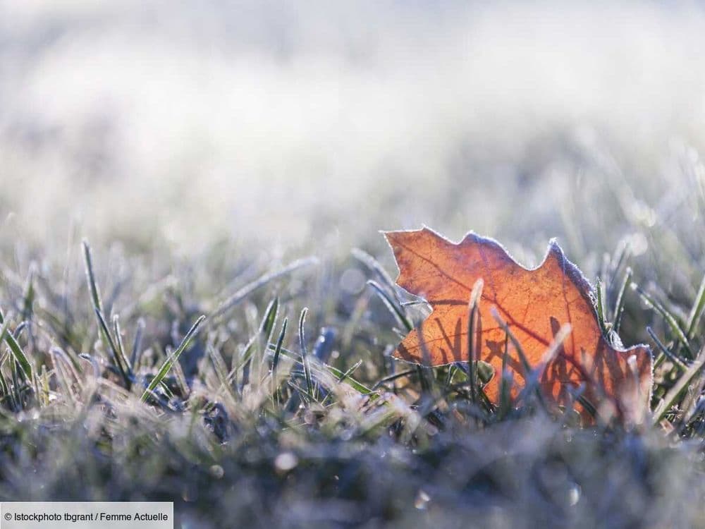 Ces travaux de jardinage qu’il faut absolument éviter avant les Saints de glace (et c’est dans quelques jours)