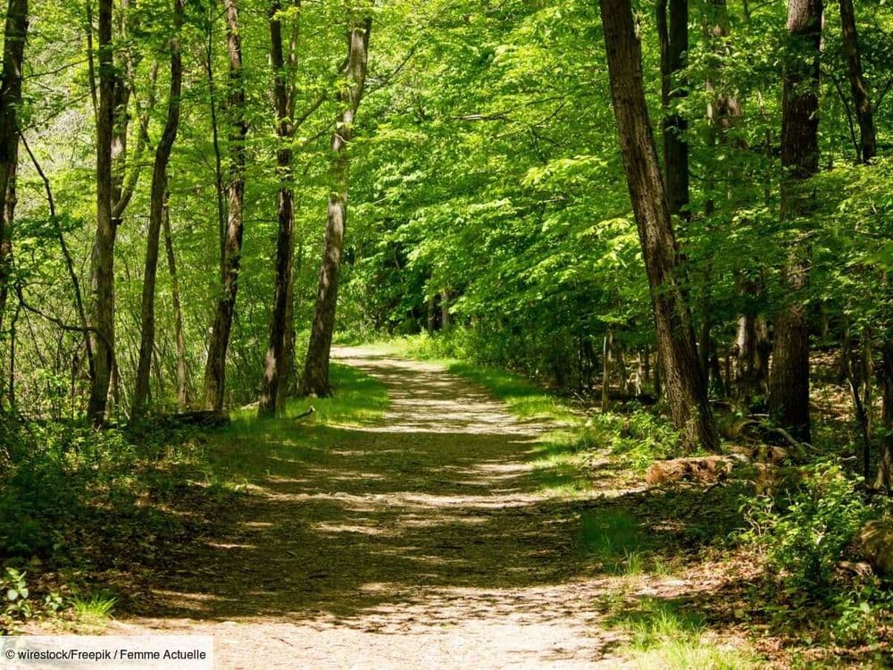 À 6 ans, il témoigne contre son père violent ayant voulu l’abandonner dans la forêt