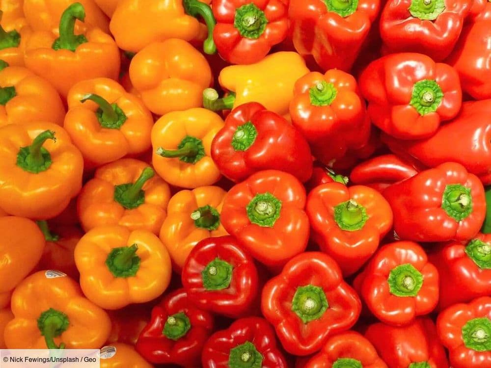 Qu'est-ce qu'un régime sans FODMAP ?