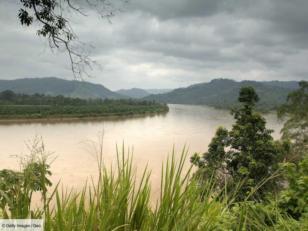En Équateur, une marée noire historique ravage le fleuve Esmeraldas et ses mangroves