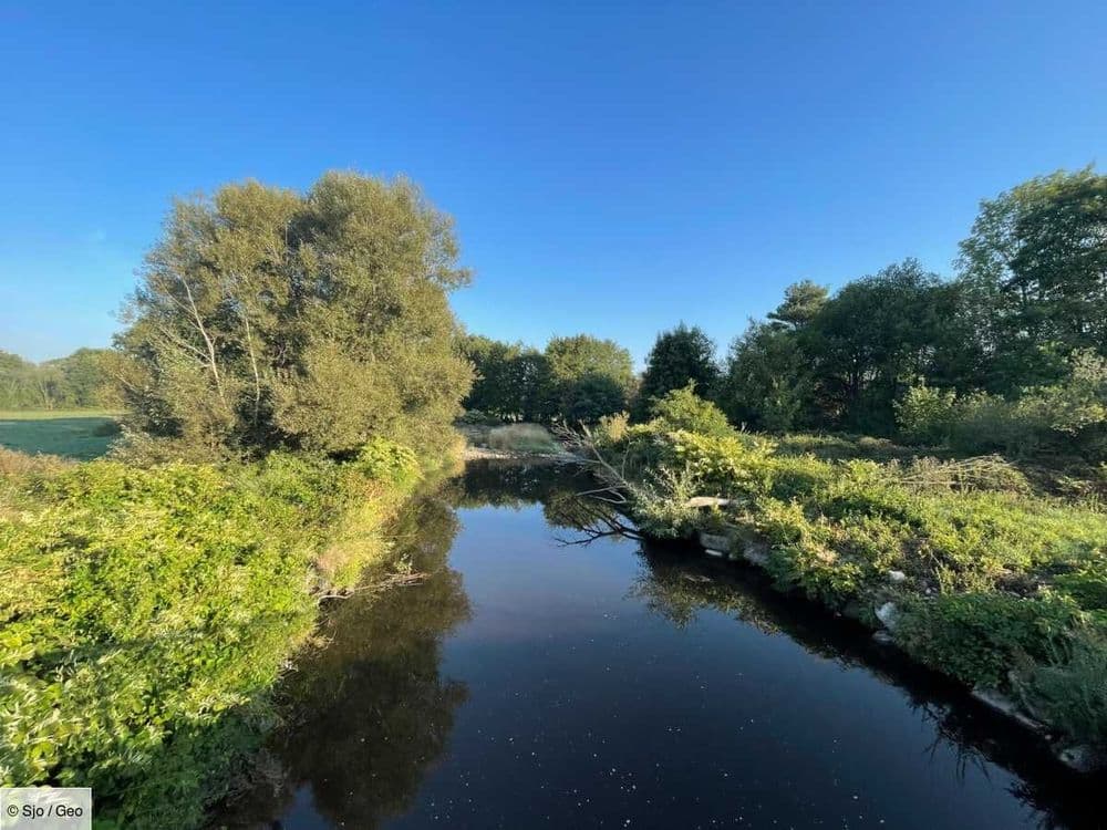La Région Grand Est porte plainte après la mort de "milliers de poissons" dans l'Ill