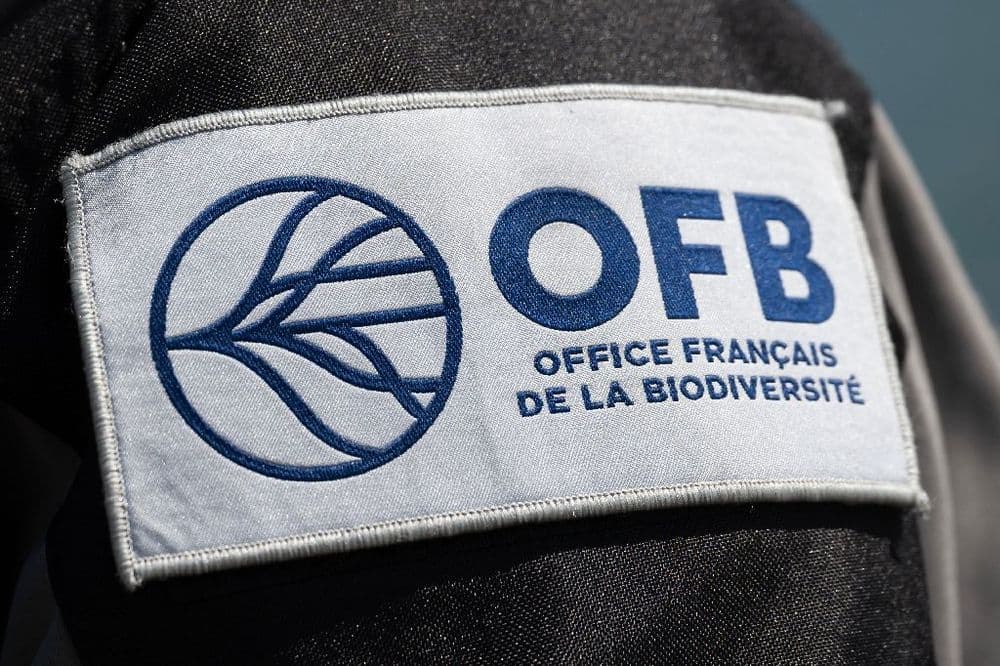 Espaces protégés: "Une personne sur vingt en infraction", lors de contrôle de l'OFB en mai