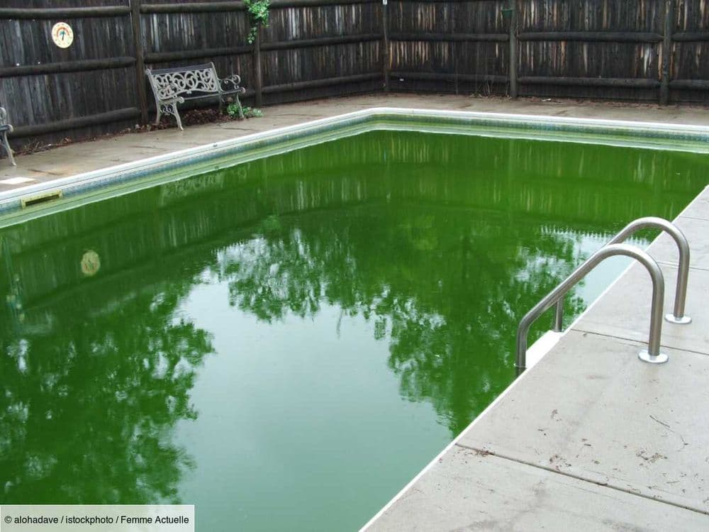 L'eau de ma piscine est verte, que faire pour la nettoyer ?