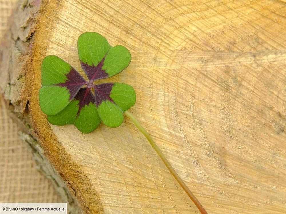 Croiser les verres, passer la salière, pain à l'envers : connaissez vous ces superstitions à table ?