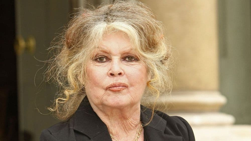 Brigitte Bardot condamnée par la justice : "Je finis toujours par..."