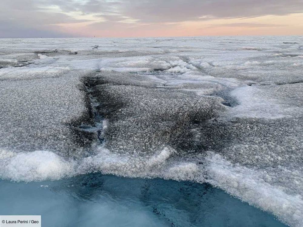 Des virus géants trouvés sur la calotte glaciaire du Groenland pourraient ralentir la fonte des glaces