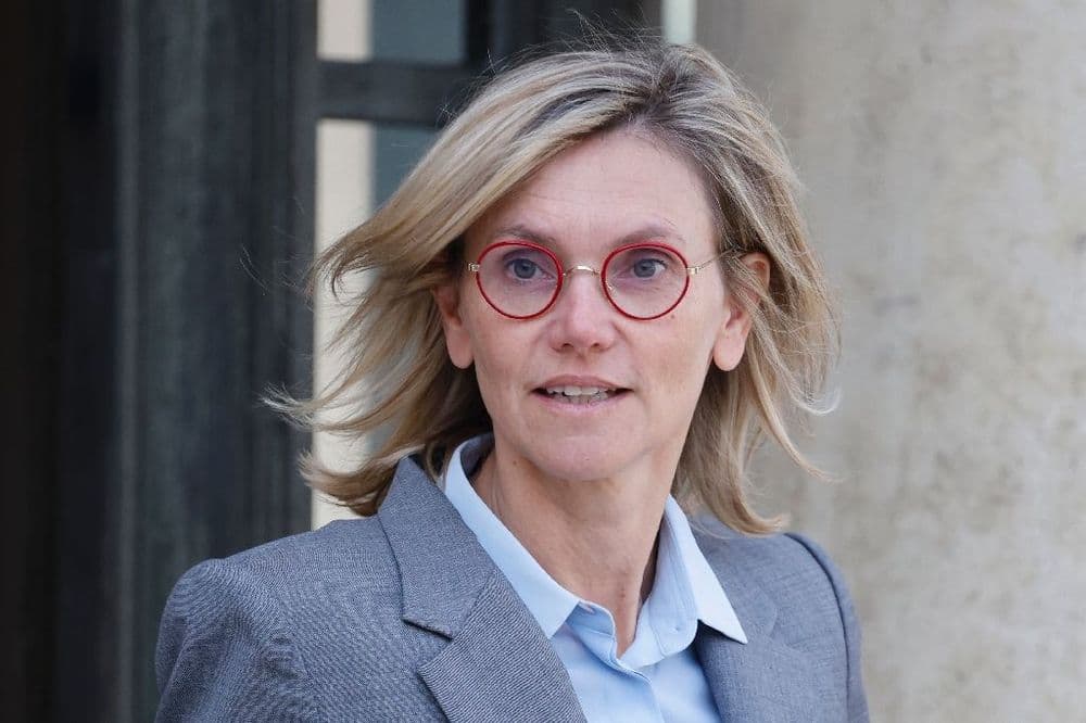 Taxe électricité: Agnès Pannier-Runacher s'inquiète du "risque" d'aller trop loin
