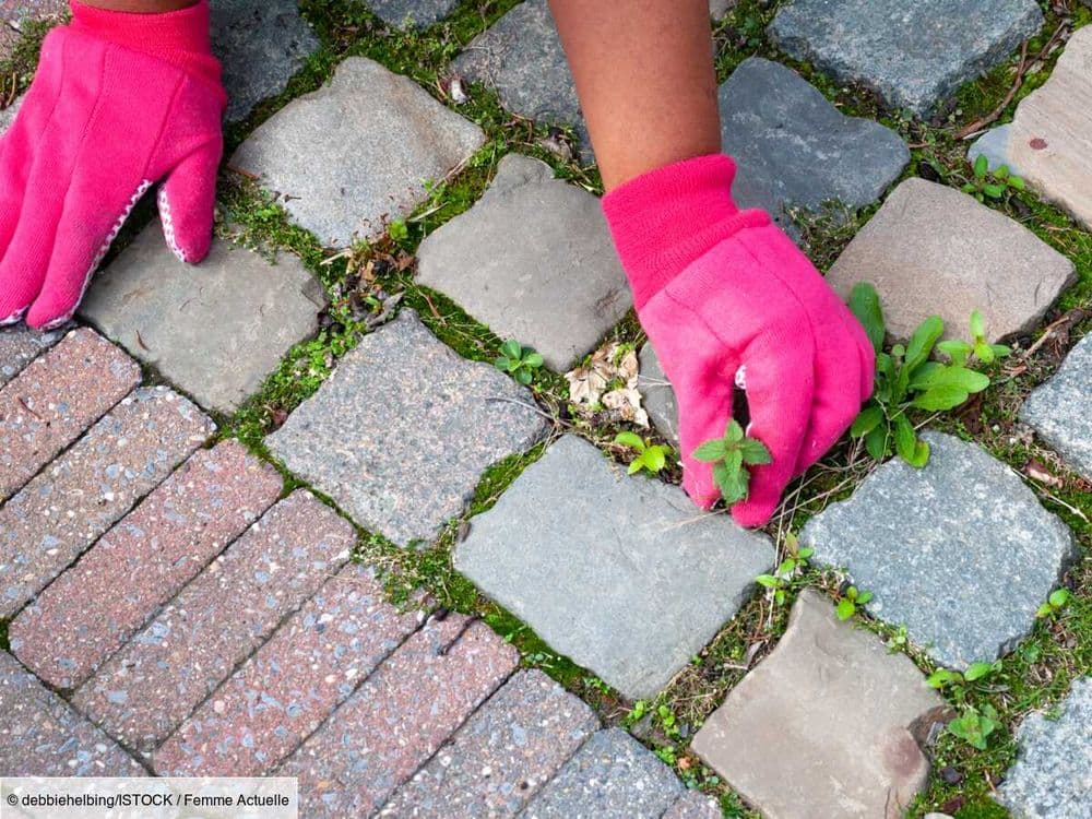 Des mauvaises herbes sur votre terrasse ? La recette du désherbant maison ultra efficace