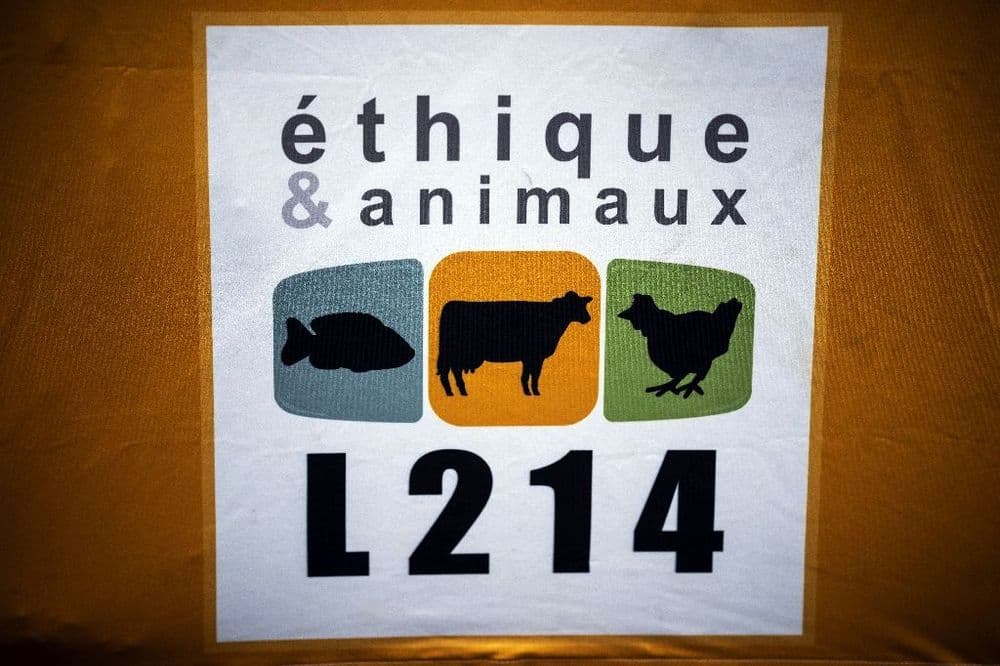 L214 demande la fin de l'abattage rituel pour les viandes halal et casher