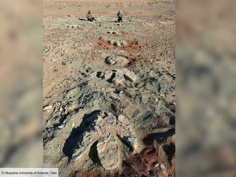 Une empreinte fossile gigantesque met en lumière un ancien titan du désert de Gobi