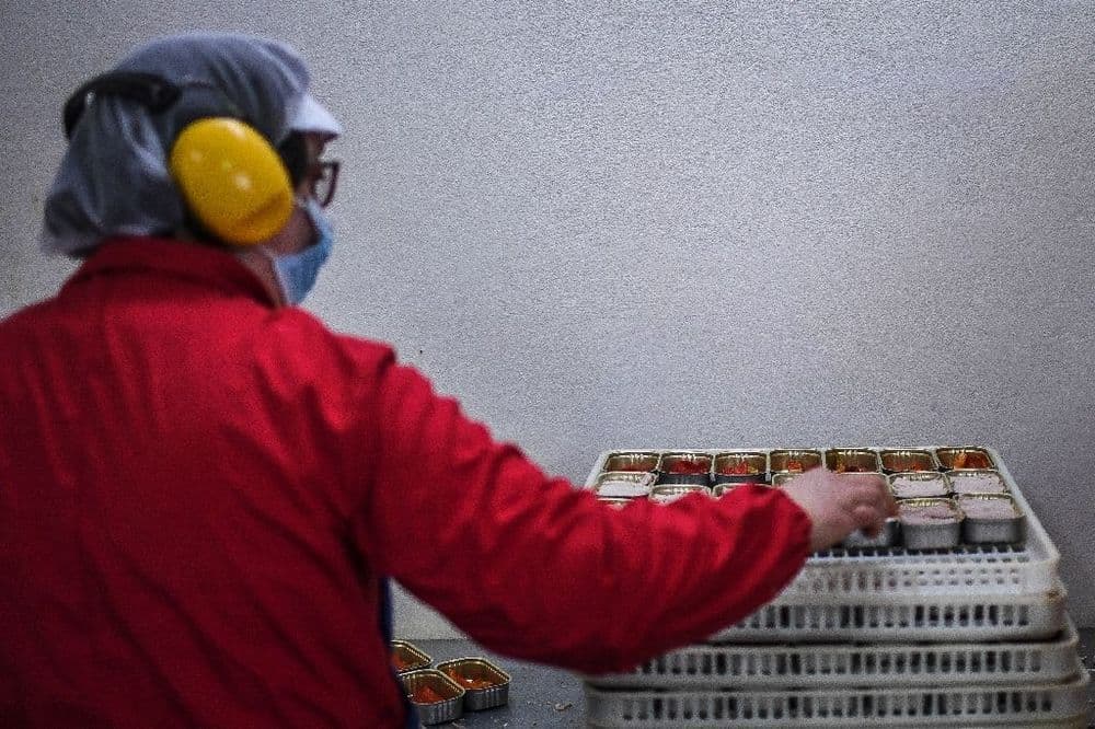 Le thon en conserve largement contaminé au mercure, s'alarment deux ONG
