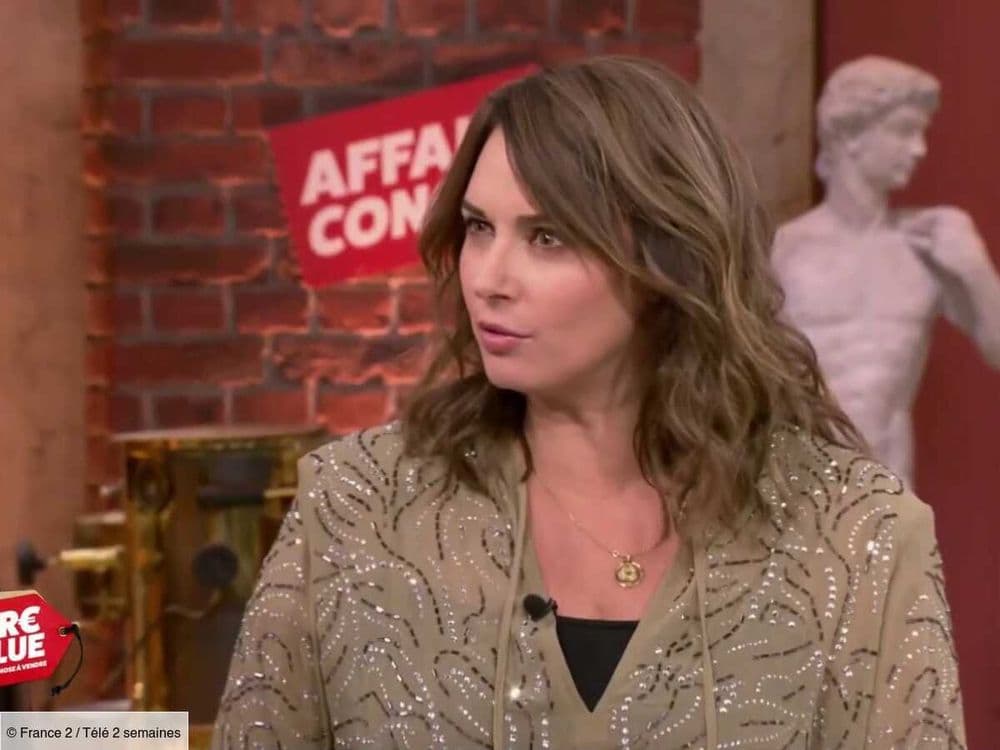 "Pardon, je me suis permise mais..." : Julia Vignali (Affaire Conclue) choquée par l’estimation très basse d’un expert, elle intervient