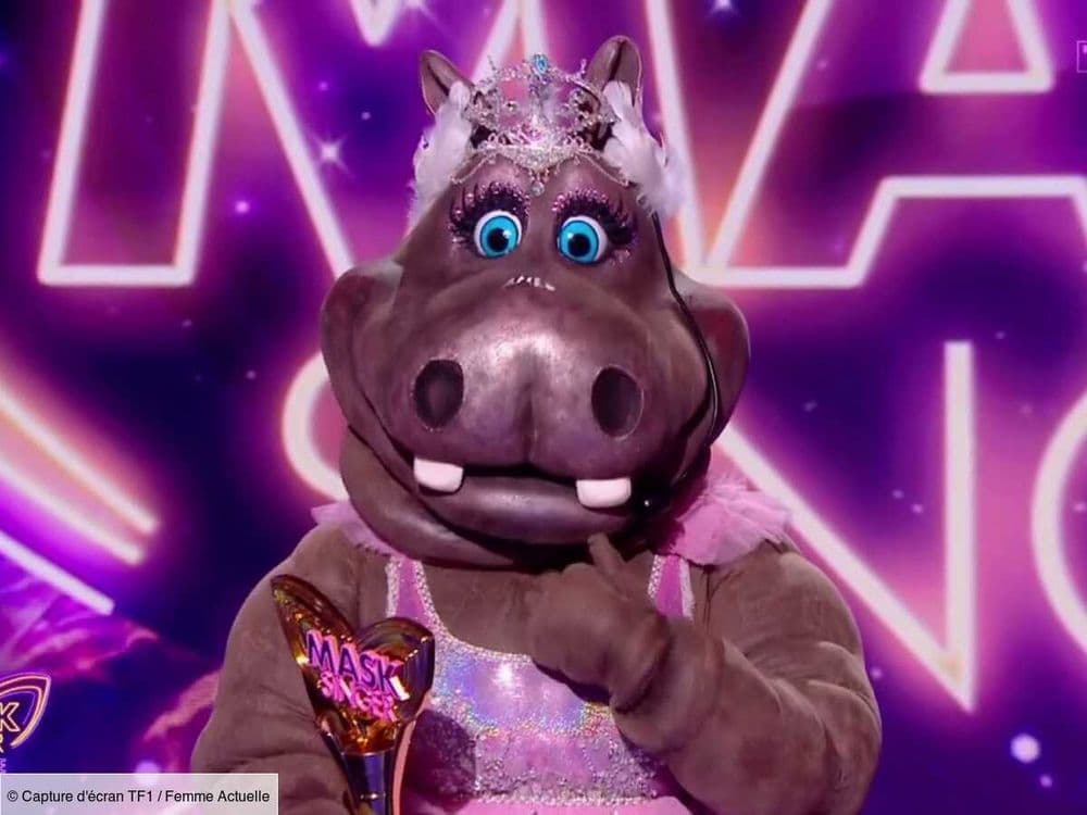 Qui se cachait sous le costume de l’Hippopotame, grand gagnant de la saison 6 de "Mask Singer" ?