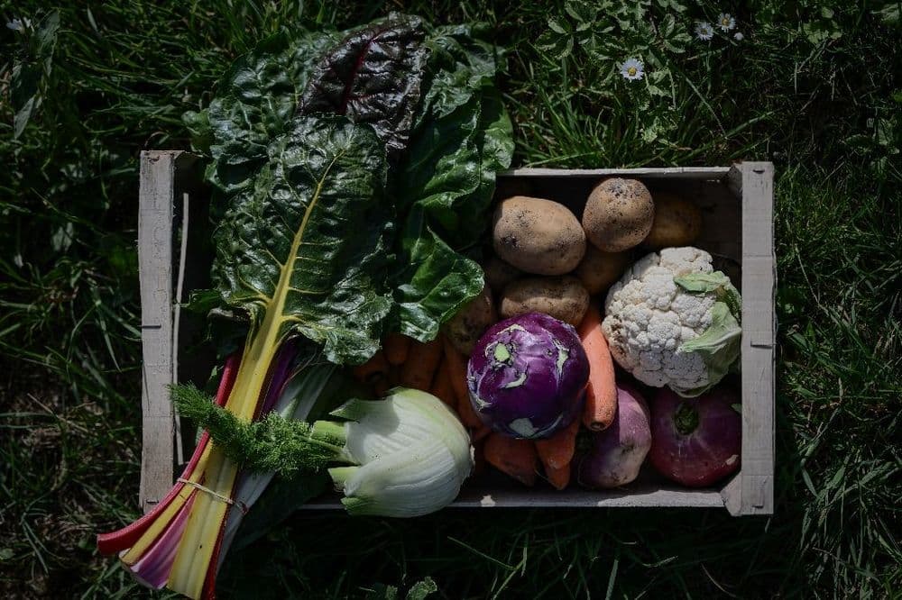 Les agriculteurs bio dénoncent un "hold-up" sur leurs aides