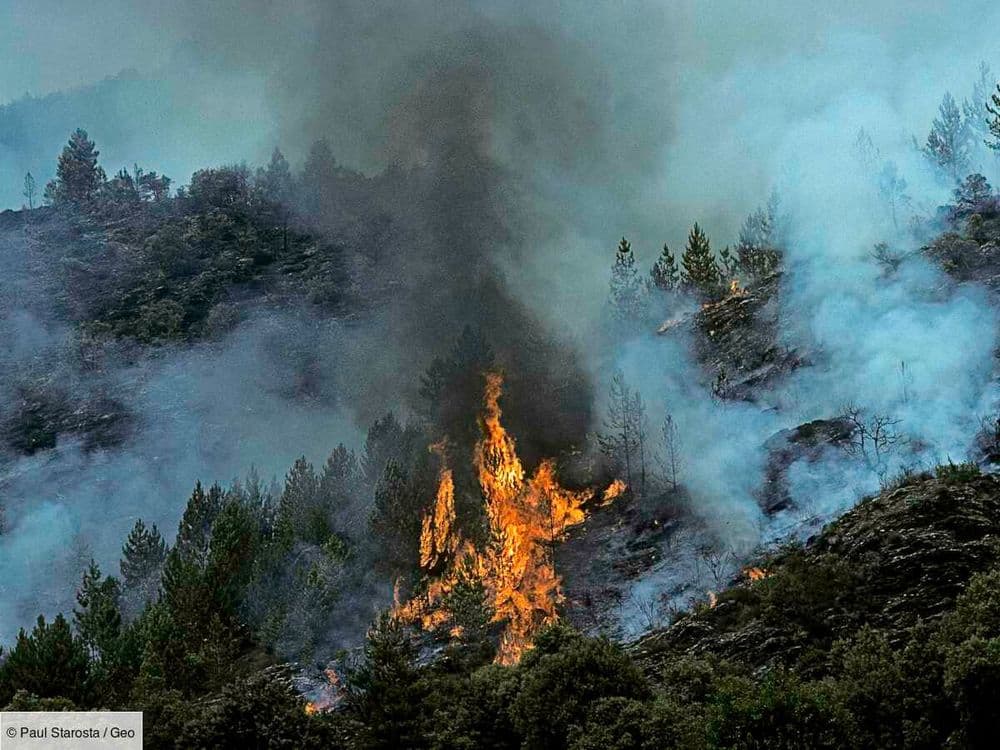 Trump coupe les financements: la NOAA cessera de recenser les catastrophes climatiques coûteuses