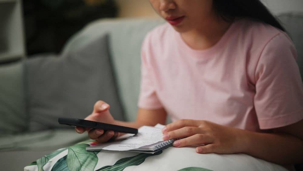 Revolut, N26, Sumeria, bunq :  les astuces des banques en ligne pour faire fructifier votre argent et épargner plus