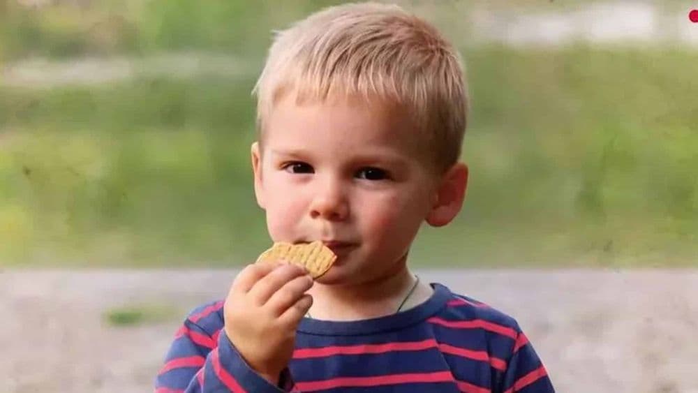Disparition d'Émile depuis 8 mois : le petit garçon de 2 ans et demi "toujours vivant", un proche du dossier redonne espoir à ses parents !