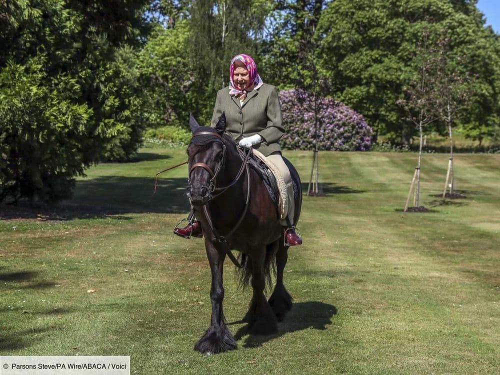 Elizabeth II passionnée de chevaux : cet ultime plaisir de la reine quelques semaines avant sa mort