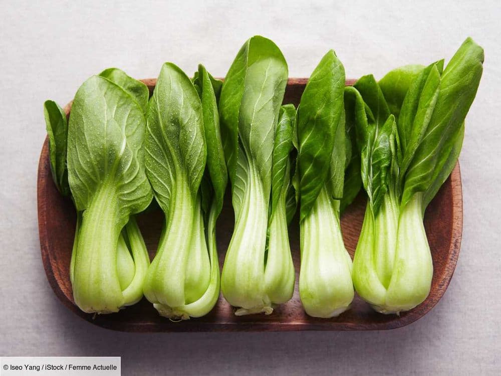 Chou chinois : 5 recettes faciles et rapides pour apprendre à le cuisiner