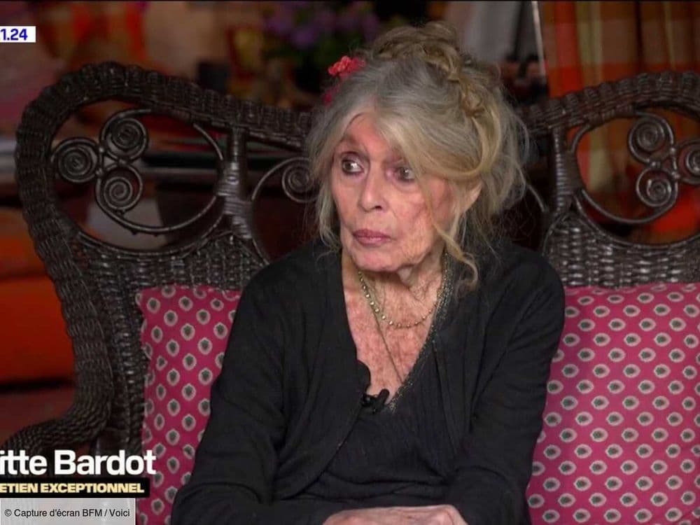 "Elle ne voulait pas que..." : cette requête très stricte de Brigitte Bardot pour son interview exclusive sur BFM TV (ZAPTV)