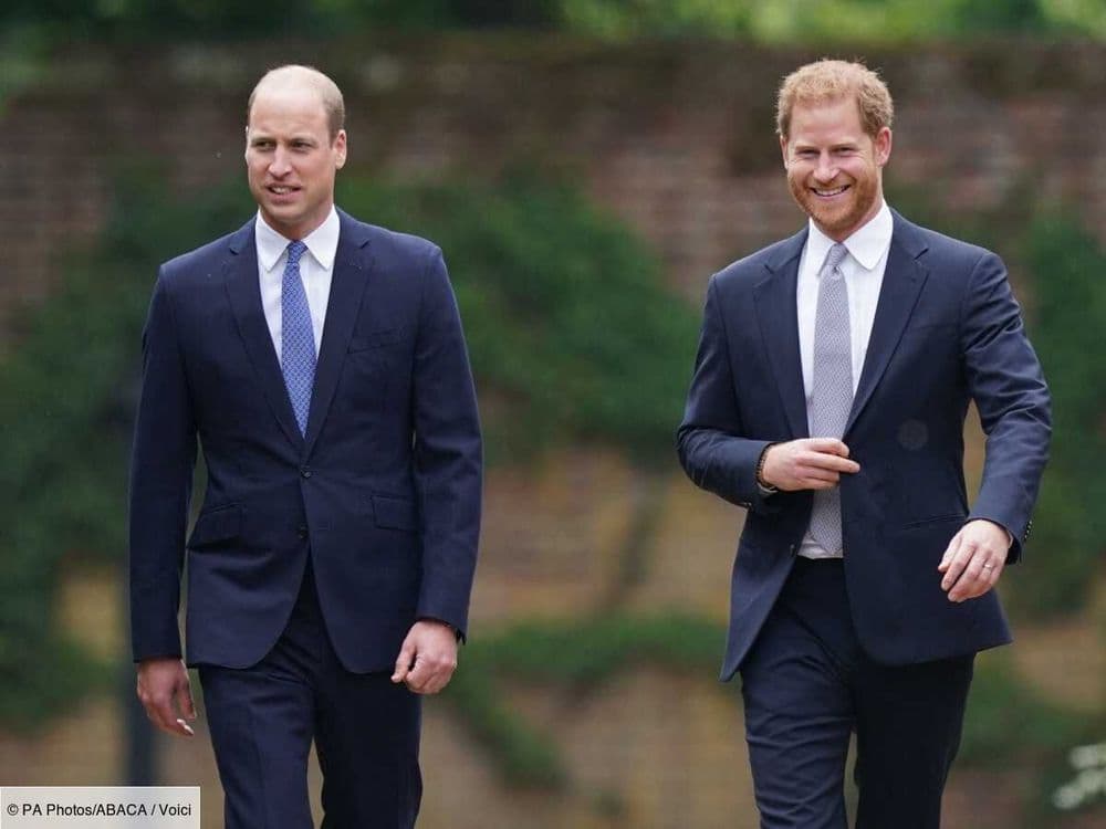 "Triste et désemparé" : le prince William redoute la prochaine visite de son frère Harry au Royaume-Uni