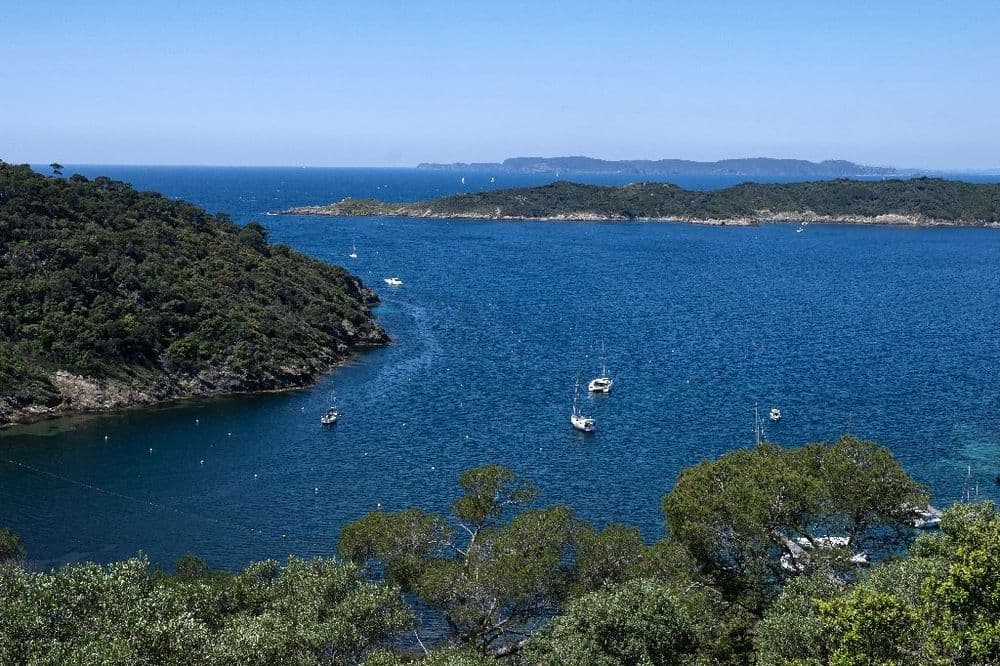 A Port-Cros, la plus vieille aire marine protégée d'Europe "montre le futur"