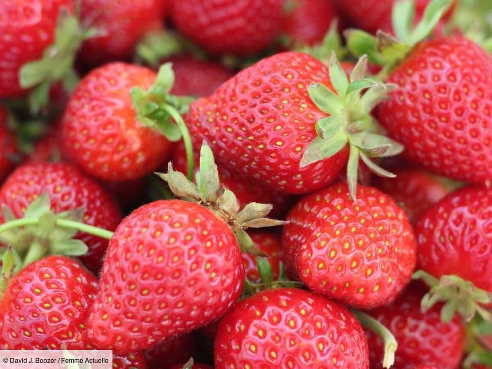 Faites pousser des fraisiers en pots pour vous régaler même si vous n’avez pas de potager !
