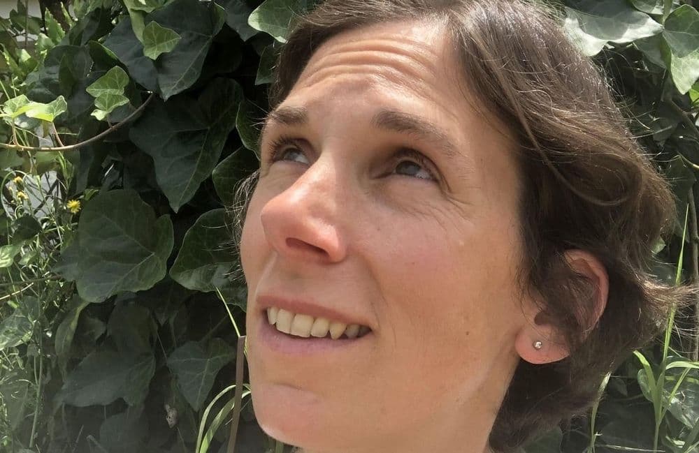 Disparition de Laure Zacchello : des traces de sang découvertes dans la maison et la voiture