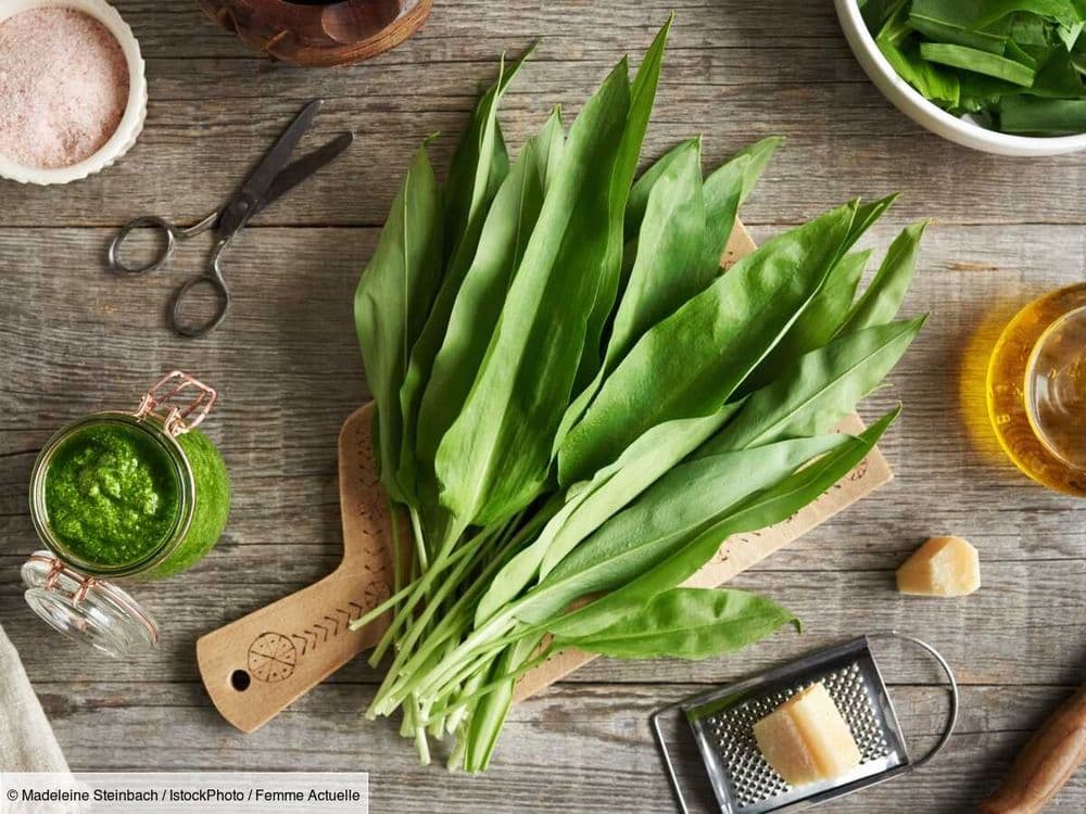 C'est la pleine saison de l'ail des ours : 15 recettes pour le cuisiner