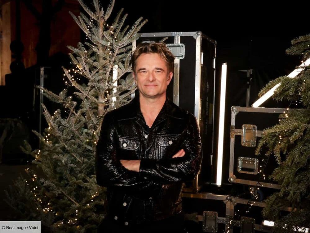 "Bientôt une famille de 4" : Ilona Smet enceinte de son deuxième enfant, David Hallyday partage sa joie