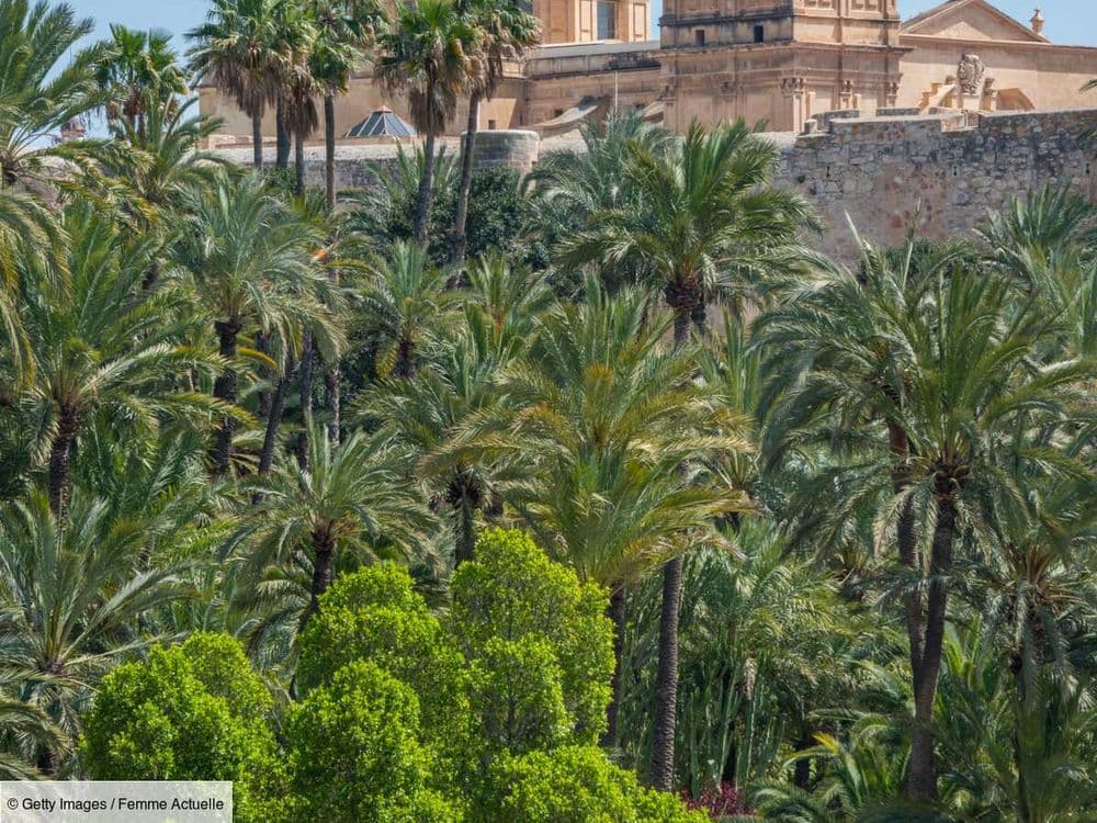 Costa Blanca en Espagne : où loger, manger et que visiter ?