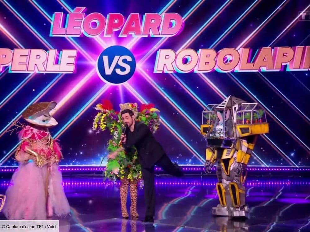 "Le prix d'une voiture" : quel costume de Mask Singer a été le plus coûteux pour la production ?