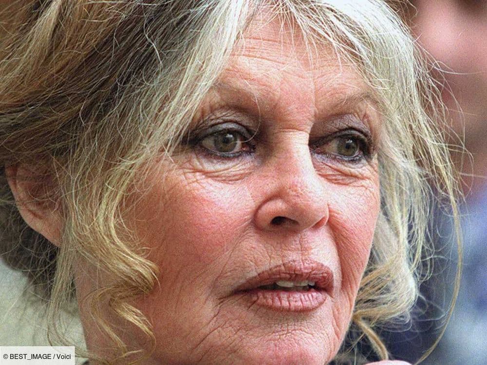 Brigitte Bardot dévastée : sa villa à Saint-Tropez, la Madrague, a été ravagée par les intempéries !