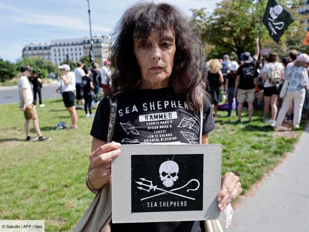 Des manifestations en France pour la libération de Paul Watson, militant écologiste et défenseur des baleines