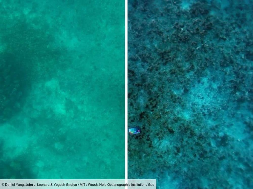 L'Œil de GEO: un outil révolutionnaire du MIT révèle les véritables couleurs des paysages océaniques