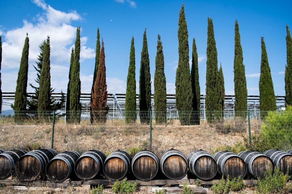 Crise du vin: les caves coopératives en première ligne