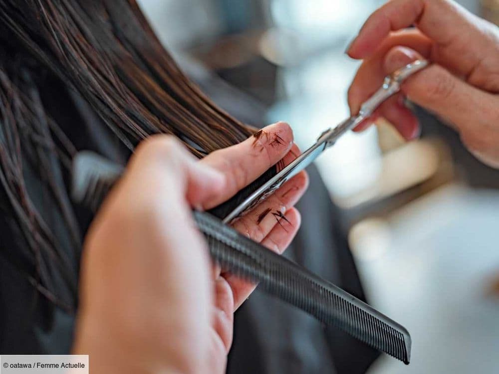 Hime cut : cette coupe de cheveux japonaise est ultra tendance sur les réseaux sociaux (elle convient aux cheveux longs et mi-longs)