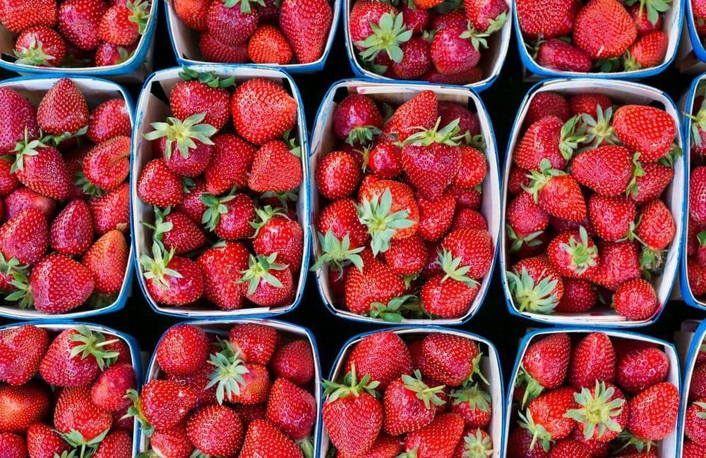 Voici la meilleure façon de conserver les fraises