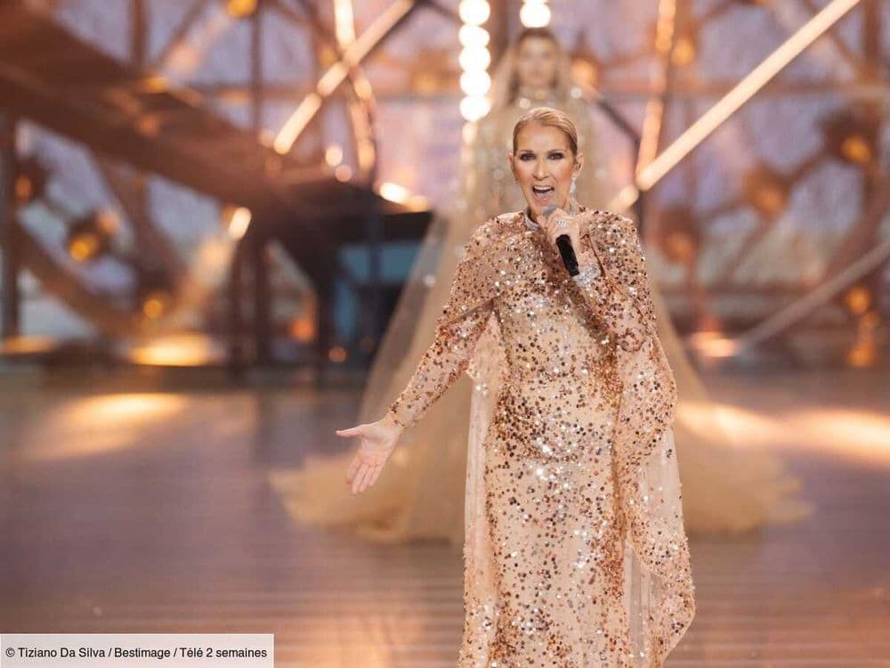 "Ce n'est pas un cadeau" : Céline Dion se confie sur son combat contre la maladie après des "moments difficiles"