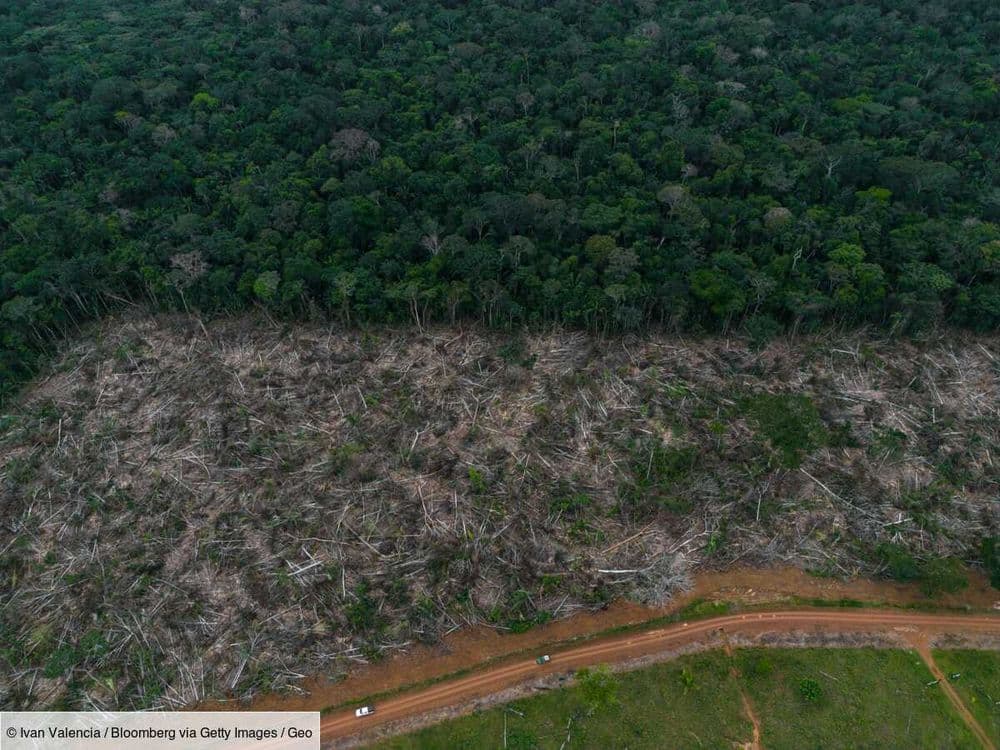 L'Amazonie a enregistré plus de 13 000 foyers d'incendie au premier semestre, le pire bilan en 20 ans