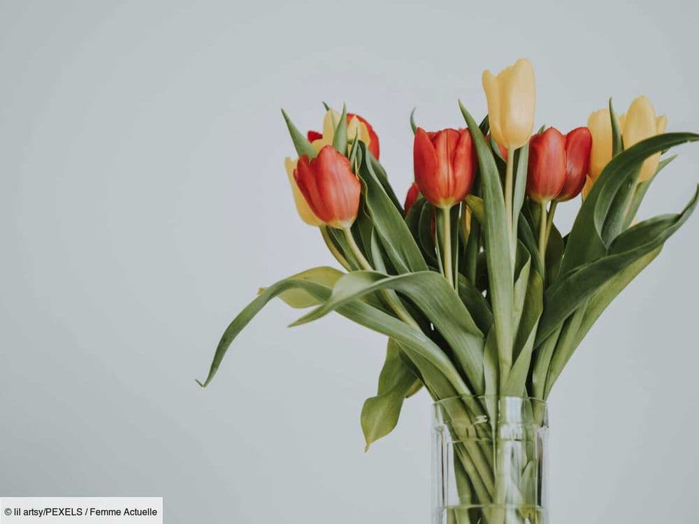 Les supers astuces pour garder son bouquet de tulipes plus longtemps