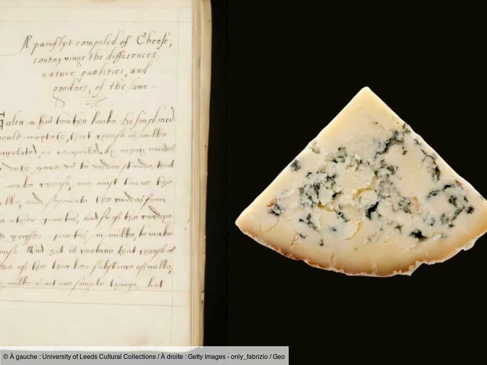 Ce que nous apprend le plus ancien livre anglais connu sur le fromage
