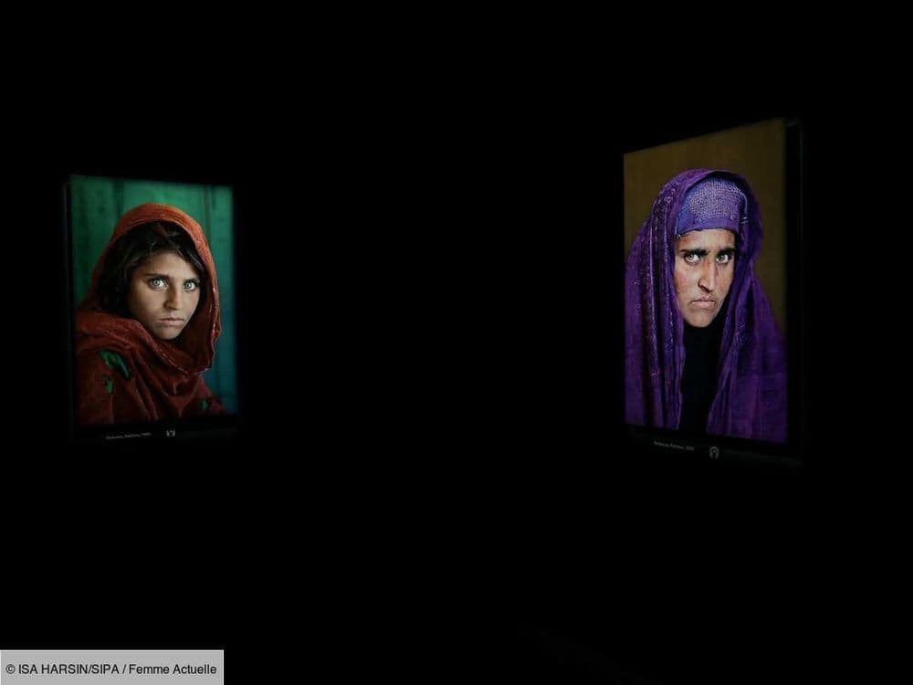 L’Afghane aux yeux verts : 40 ans plus tard, qu'est devenue celle dont la photo avait fait le tour du monde ?