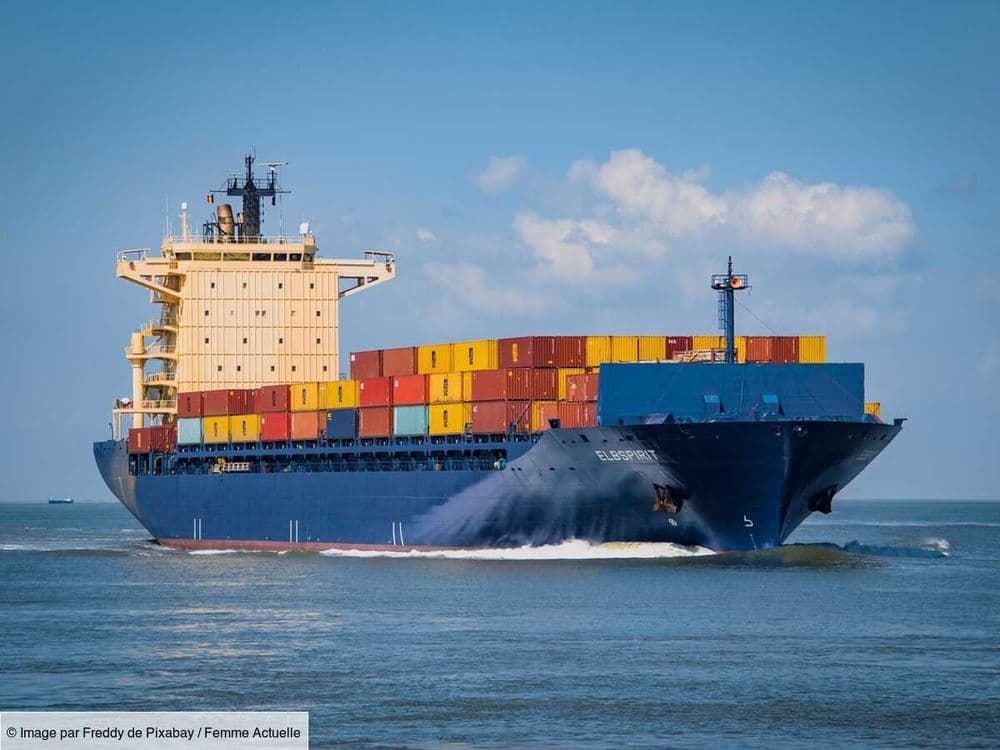 Un cargo de 135 mètres s'est échoué dans son jardin pendant son sommeil... mais cela ne l'a pas réveillé
