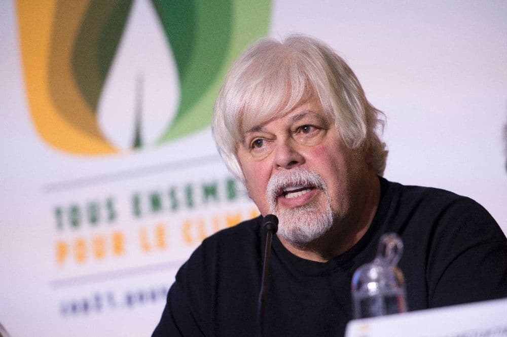 Chasse à la baleine: Paul Watson, recherché par le Japon, arrêté au Groenland