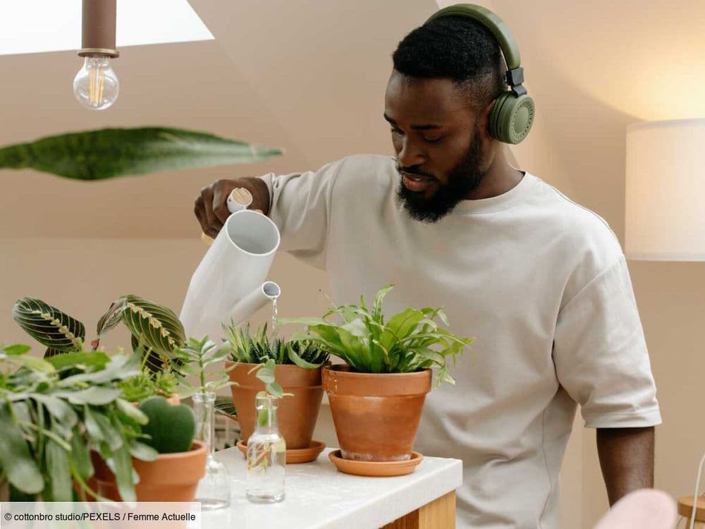 Cette astuce rapide pour arroser vos plantes en votre absence avec des choses que vous avez déjà chez vous