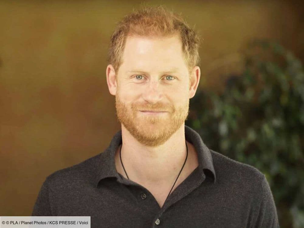 "Ça serait terrible" : la vraie raison pour laquelle le prince Harry va revenir voir Charles III plus vite que prévu